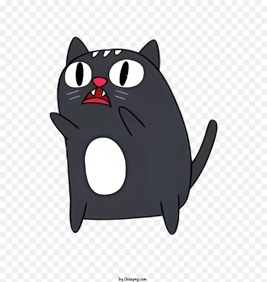 Gato Preto，Manchas Brancas PNG