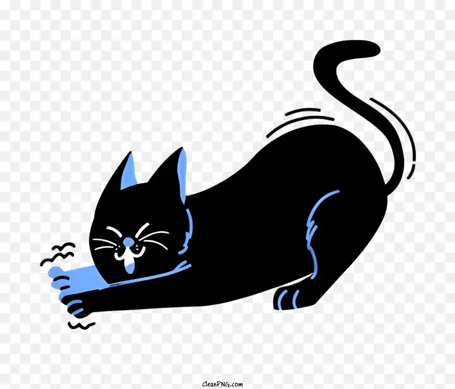 Gato Preto，Gato PNG