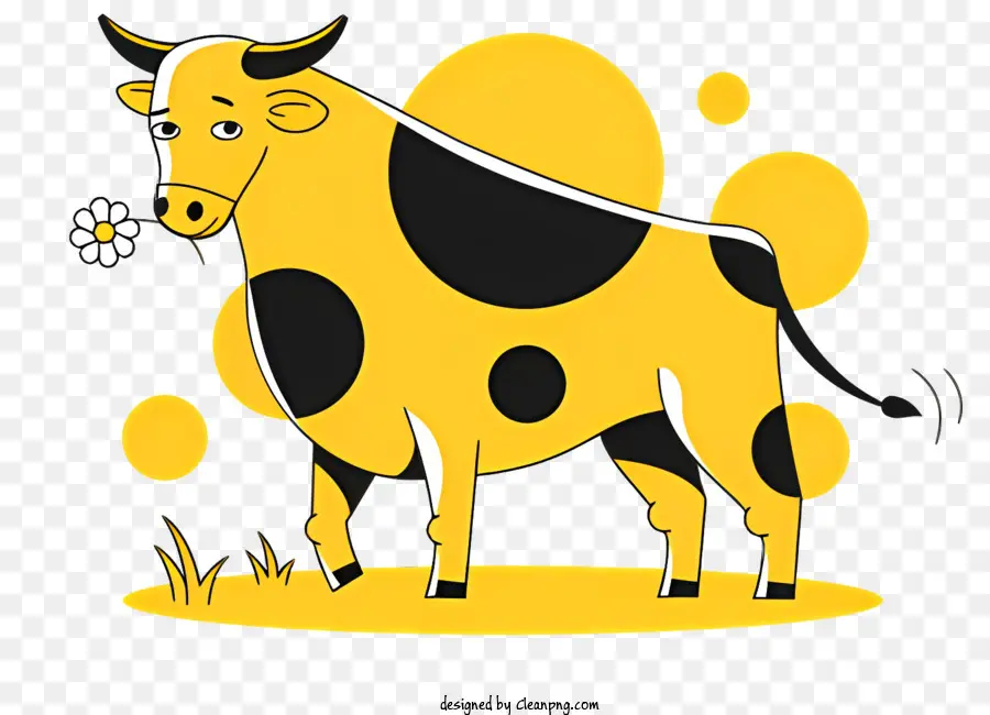 Cartoon Cow，Ponto Negro PNG