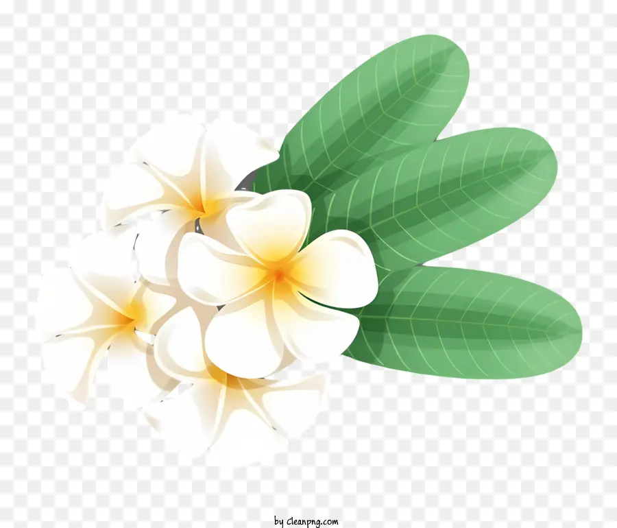 Flores De Pluma Branca，Arranjo De Flores Em Cascata PNG