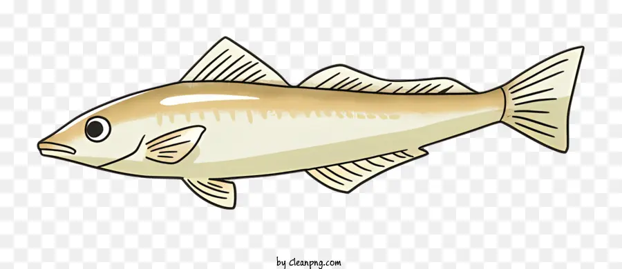 Peixe Marrom，Peixe Branco PNG
