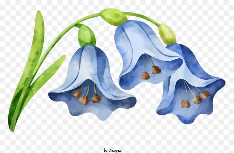 Cartoon，Flores Azuis PNG