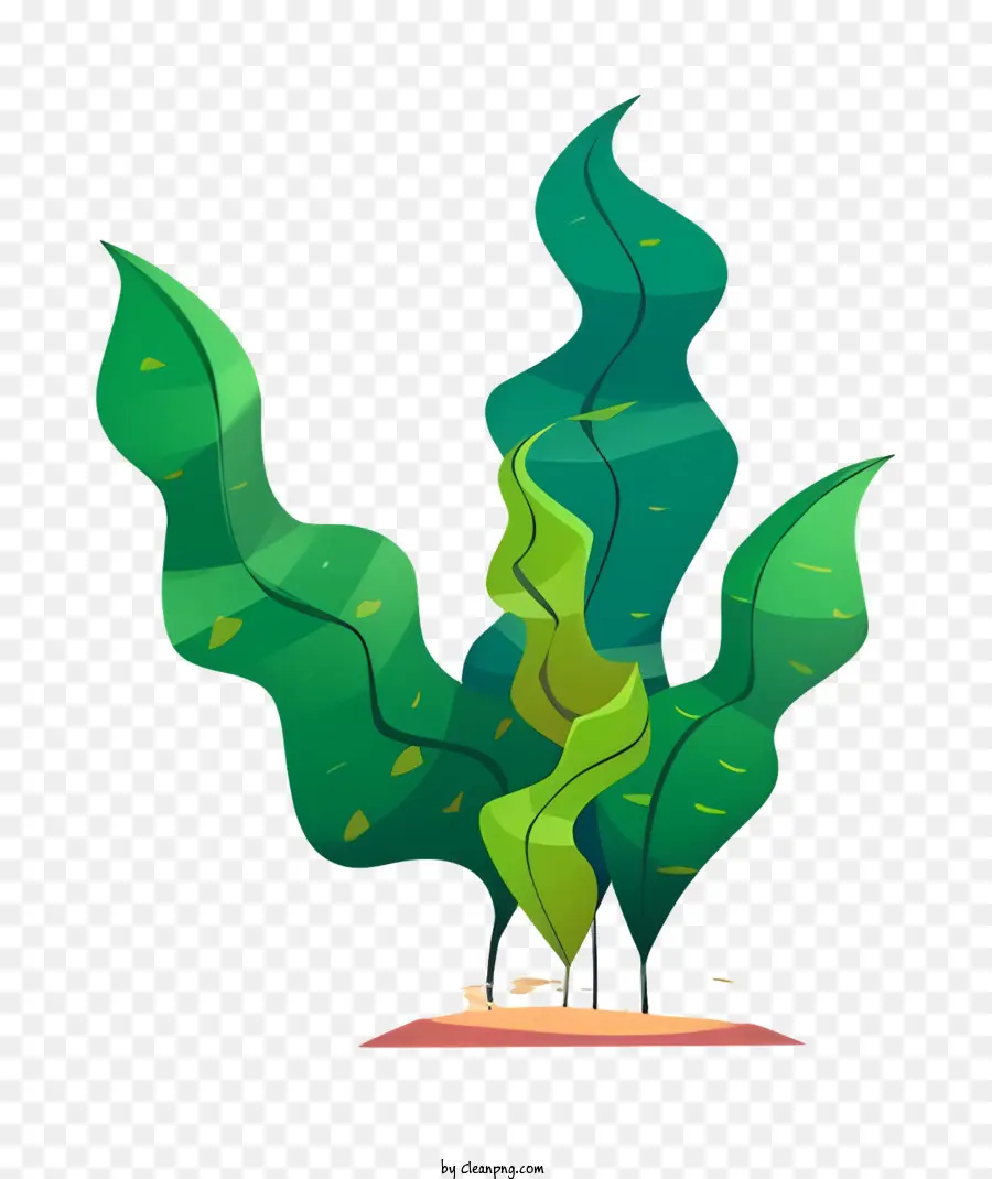 O Crescimento Da Planta，Pequena Ilha PNG