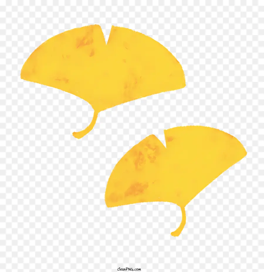 Folhas De Ginkgo，Folhas Amarelas PNG