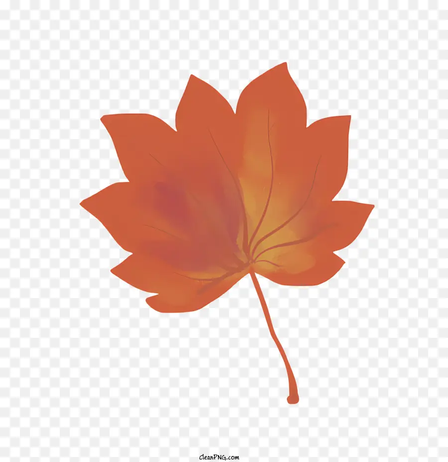 Cartoon，Outono Maple Leaf PNG