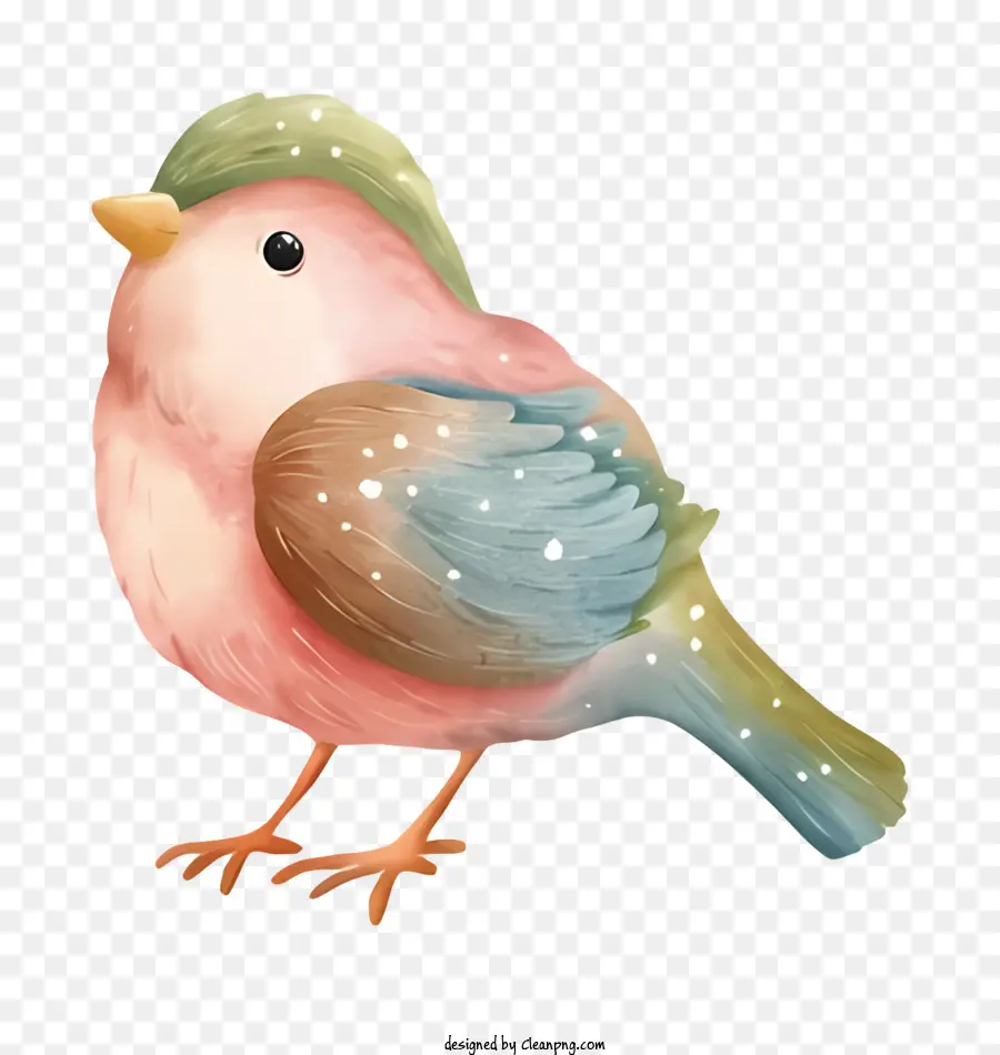 Pássaro Rosa，Cabeça Verde PNG