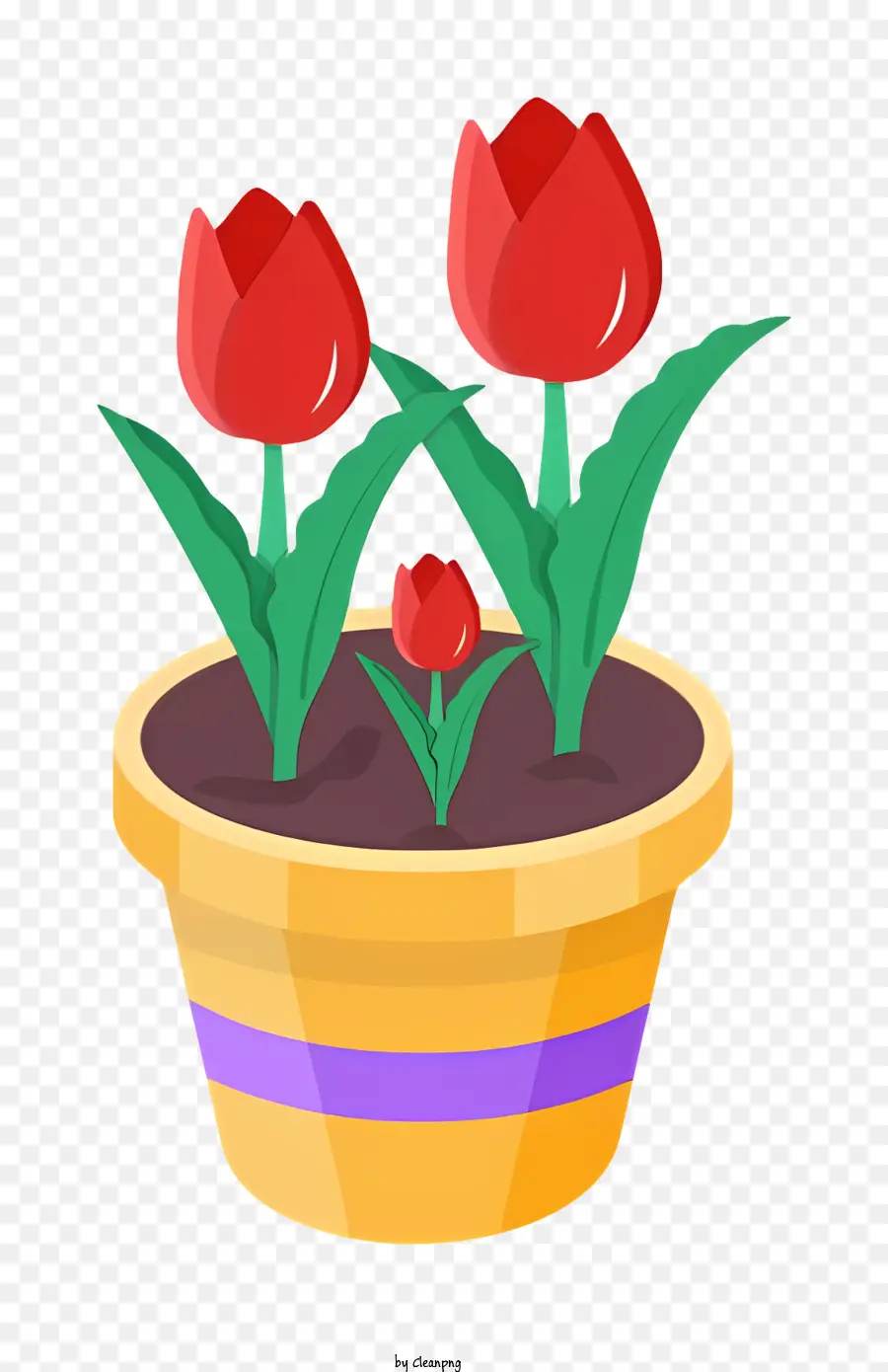 Tulipas Vermelhas，Vaso De Flores PNG