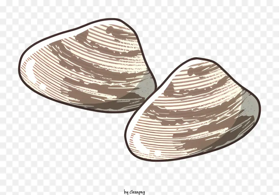 Cartuchos，Conchas Marrons PNG