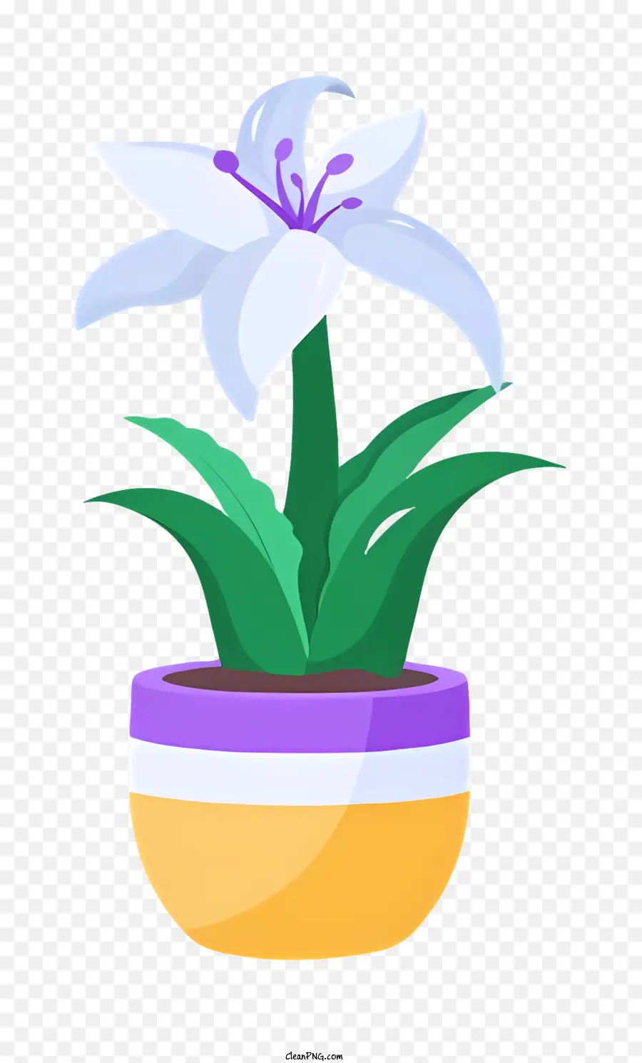 Lírio Branco Flor，Planta De Vaso PNG