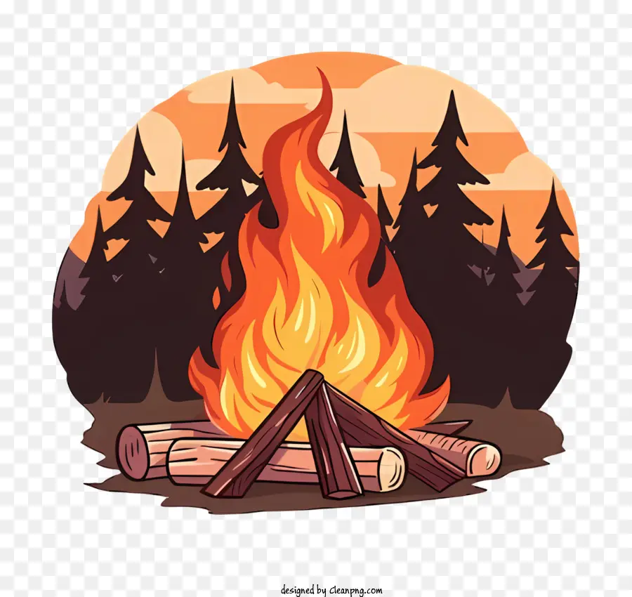 Campfire，Floresta PNG