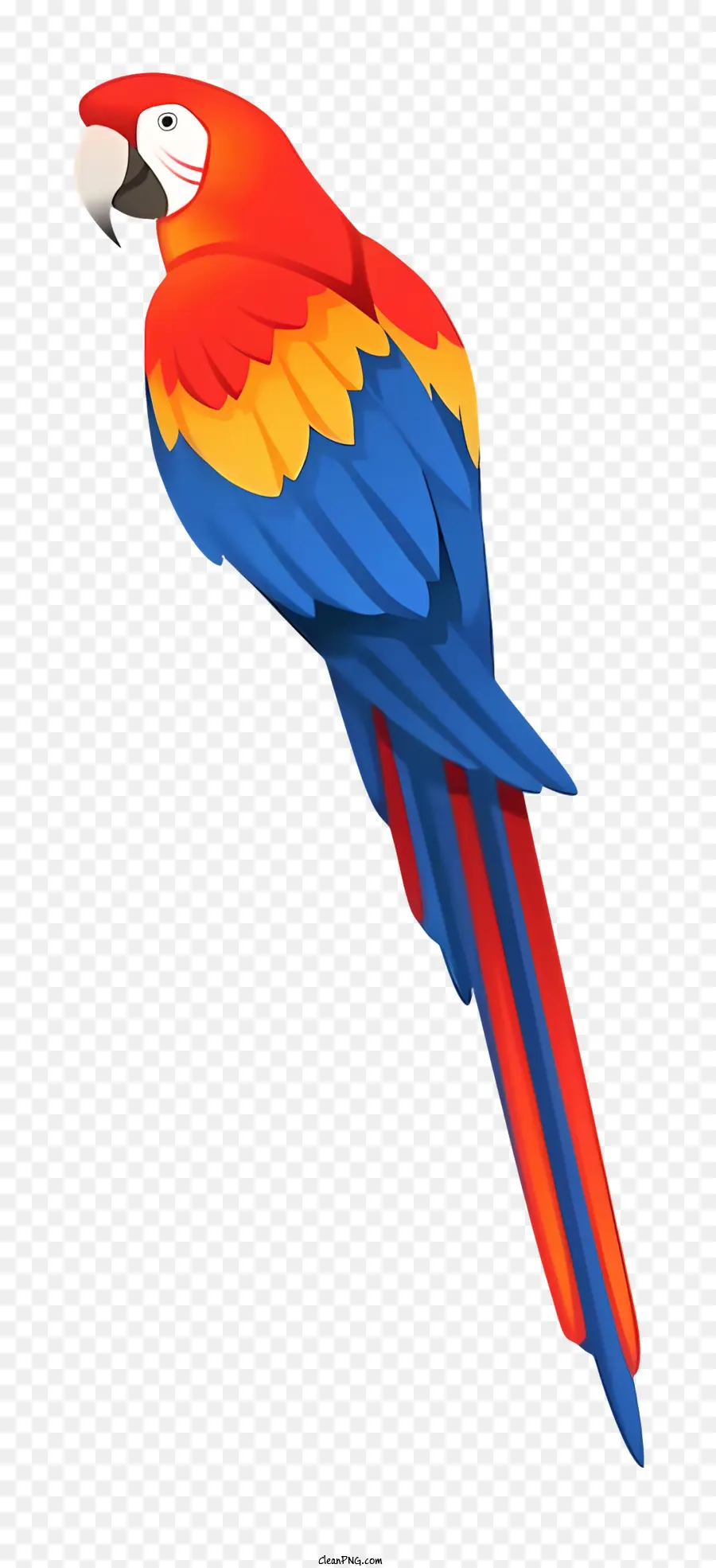 Parrot Colorido，Penas Azuis E Vermelhas PNG
