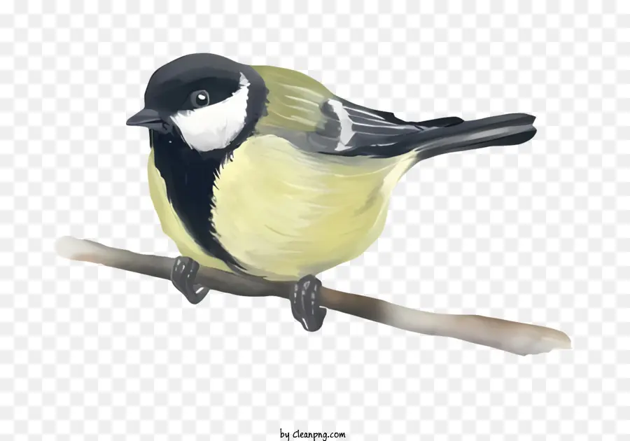 Cartoon，Pintura De Pássaros Pequenos PNG