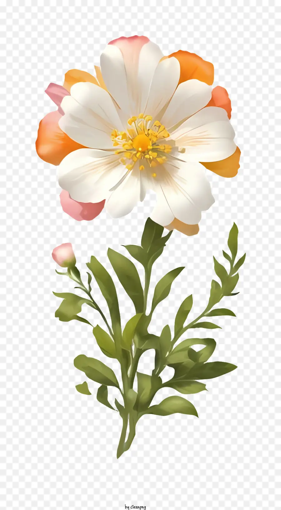 Arte，Flor Branca PNG