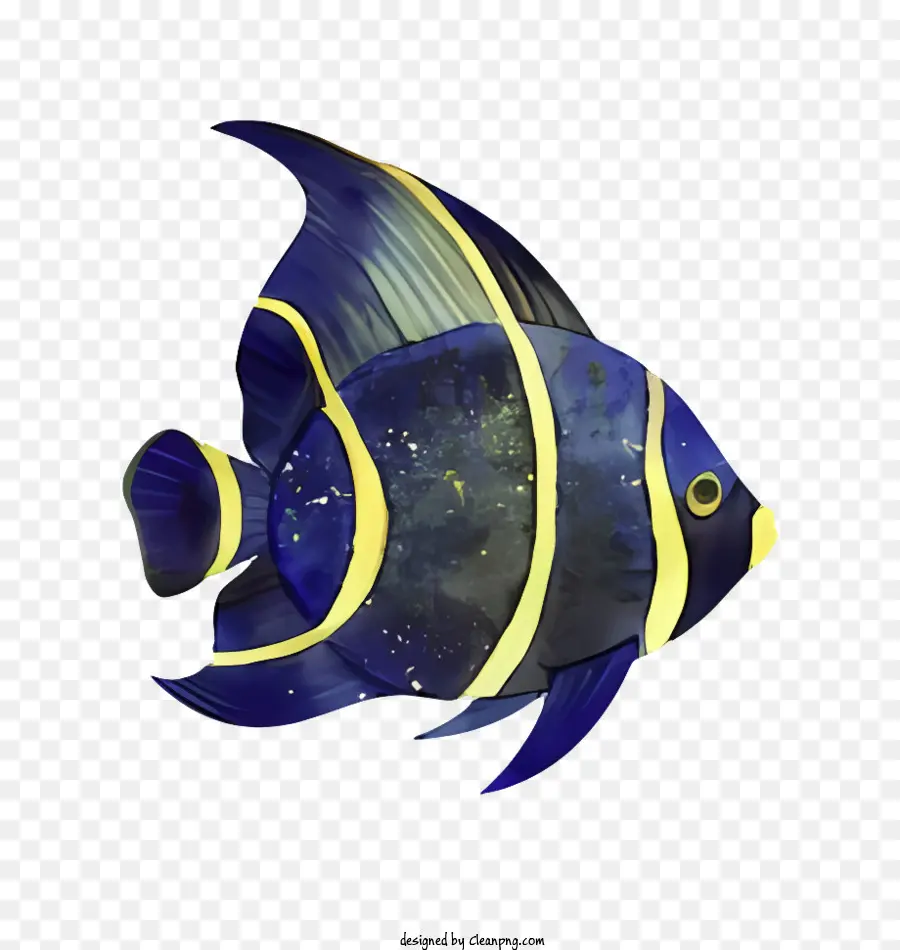 Peixes Tropicais，Azul E Listras Amarelas PNG