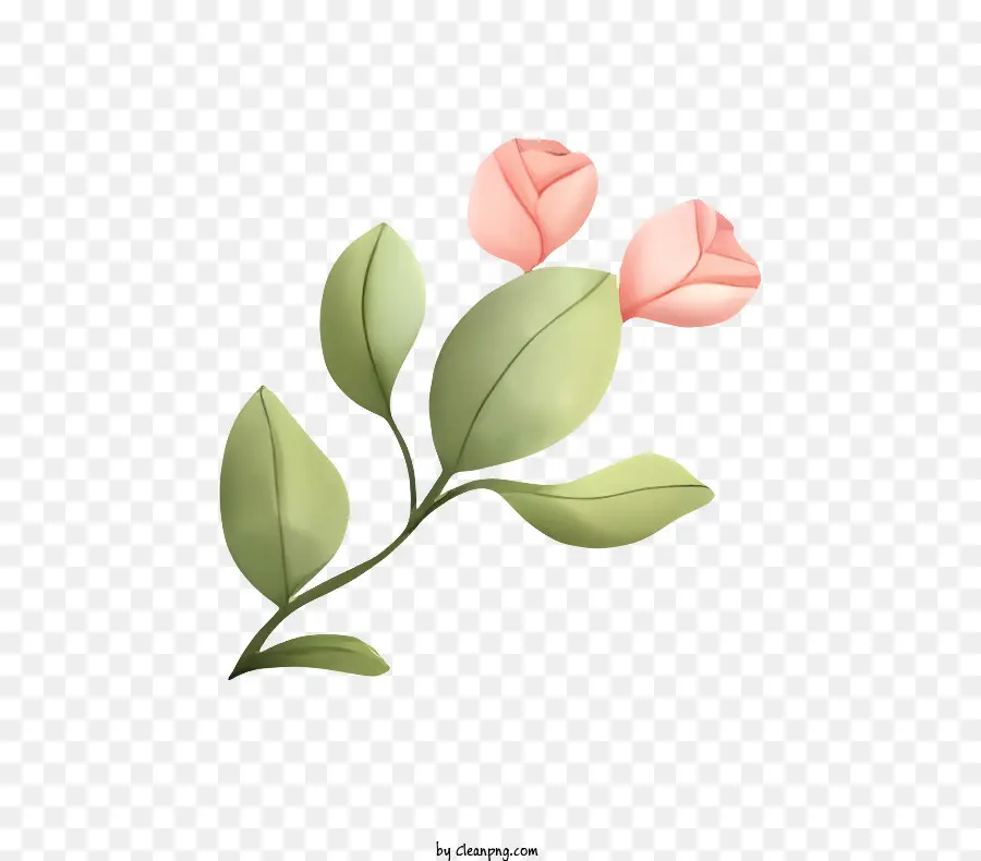 única Flor，Folhas Verdes PNG