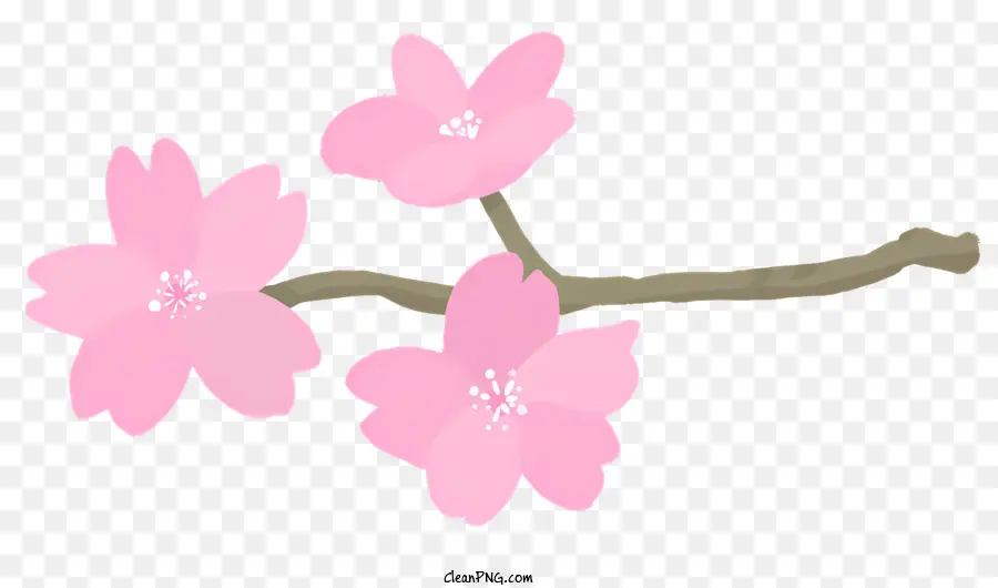 Sakura Flores，Flor De Cerejeira PNG