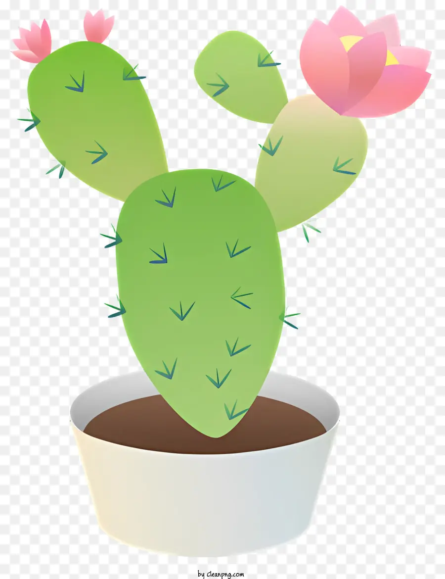 Cactus，Flores Cor De Rosa PNG