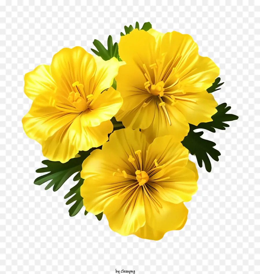 Flores Amarelas，Black Background PNG