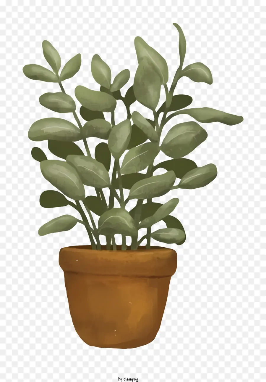 Desenho Animado，Planta Em Vaso PNG