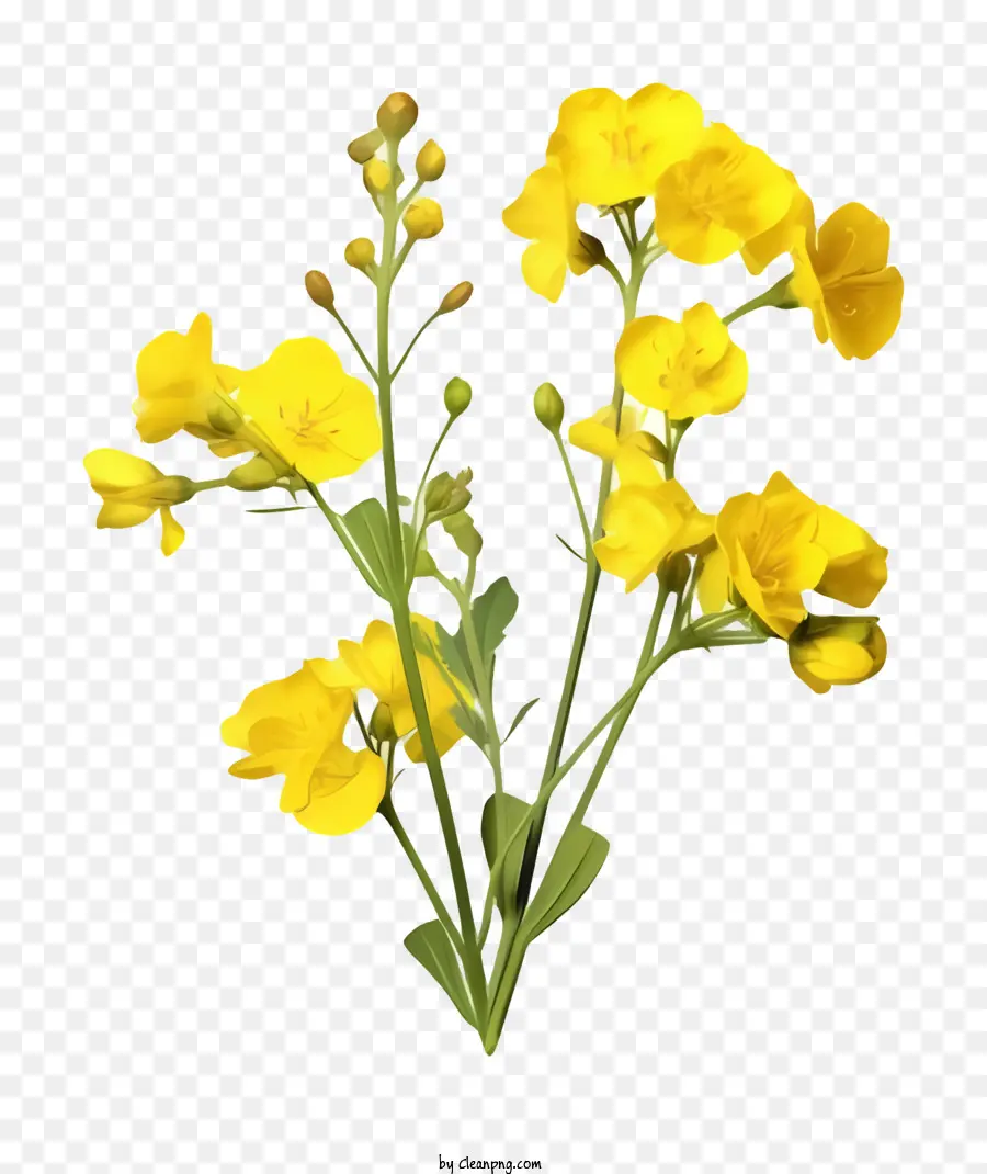 Cartoon，Flores Amarelas PNG