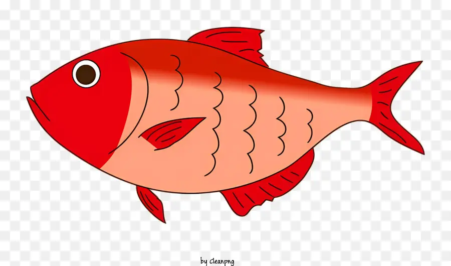 Peixe Vermelho，Peixe De Boca Grande PNG