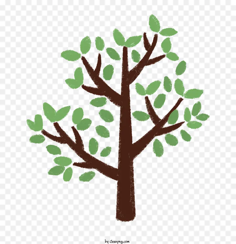 árvore Sem Folhas，árvore Nua PNG