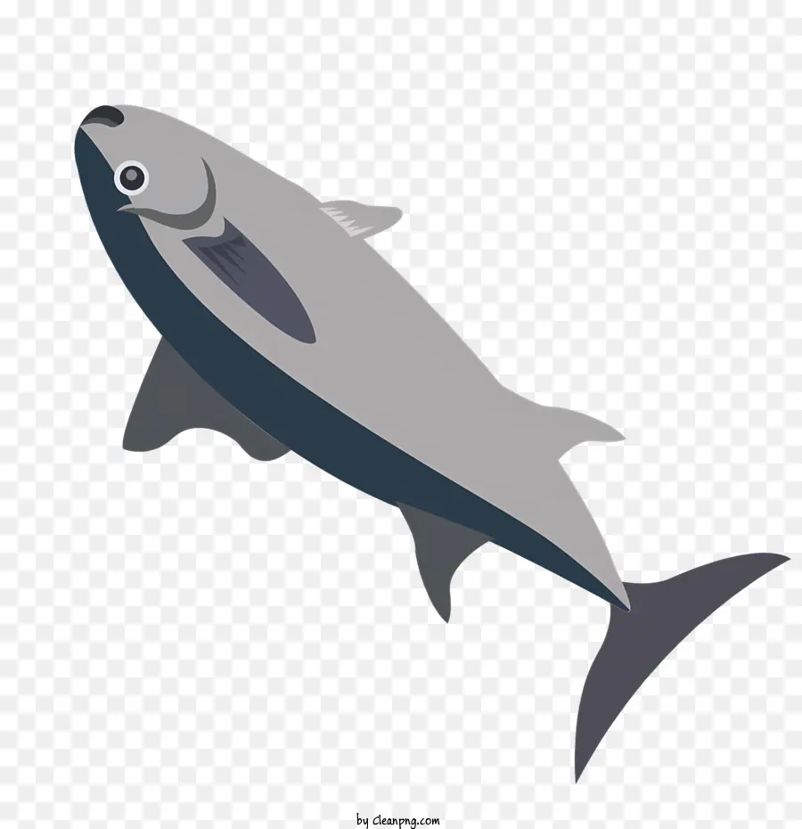 Cartoon Peixe，Black Background PNG