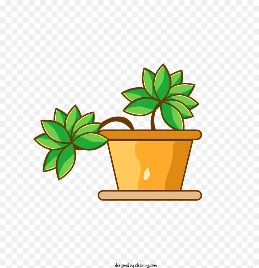 Um Vaso De Planta，Folhas Verdes PNG