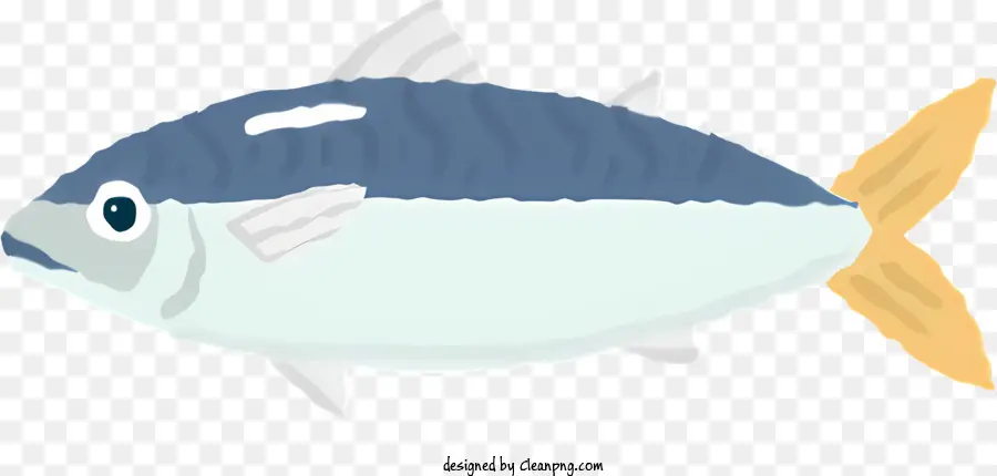 Peixe Azul E Branco，Cartoon Peixe PNG