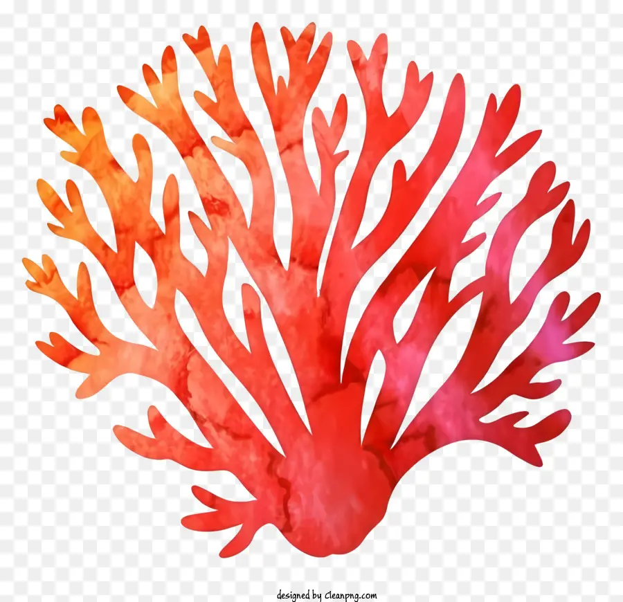 Cartoon，Arte De Coral Vermelha PNG