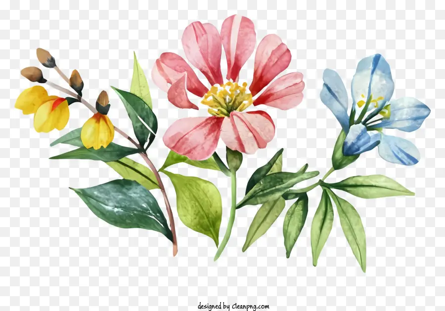 Desenho Animado，Flores PNG