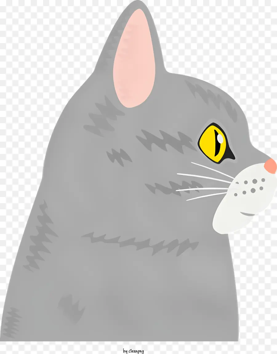 Gray Cat，Olhos Amarelos PNG