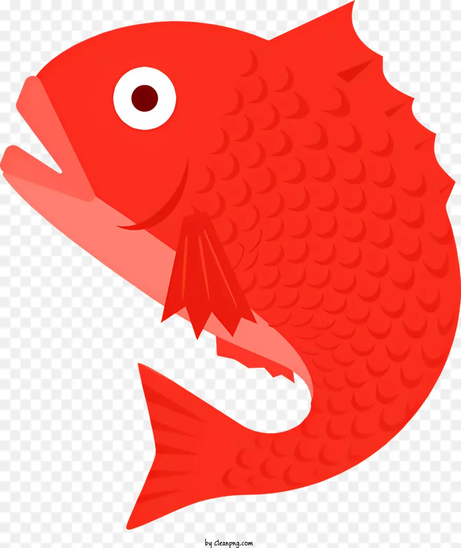 Peixe Vermelho，Corpo Longo PNG