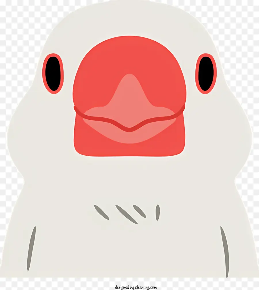 Pássaro Branco，Olhos Vermelhos PNG