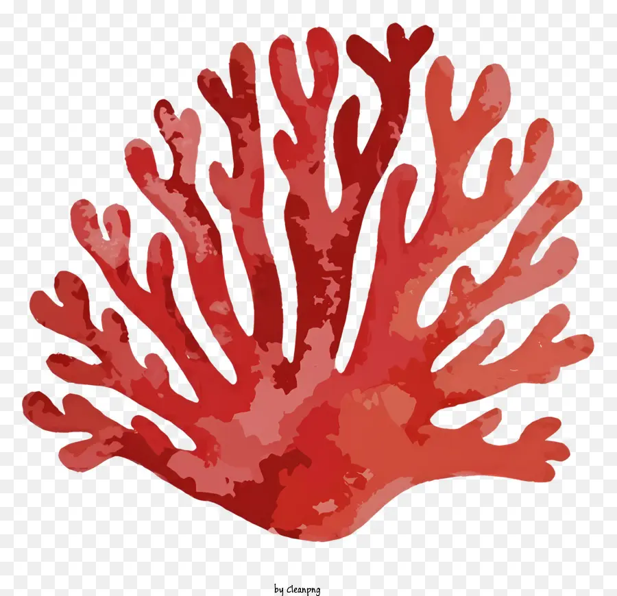 Cartoon，Vermelho Coral PNG