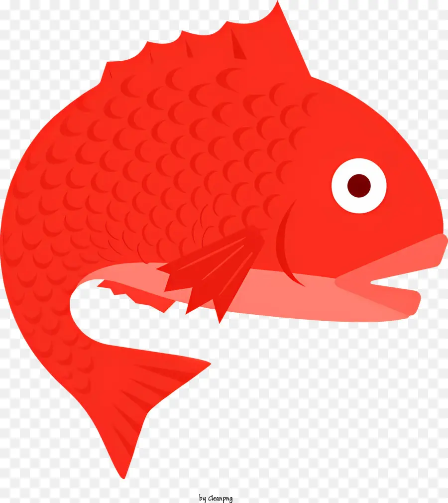 Peixe Vermelho，Olhos Brancos PNG