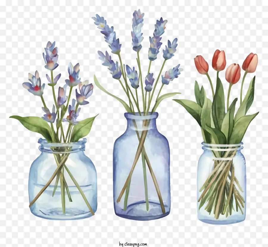 Desenho Animado，Vasos De Flores PNG