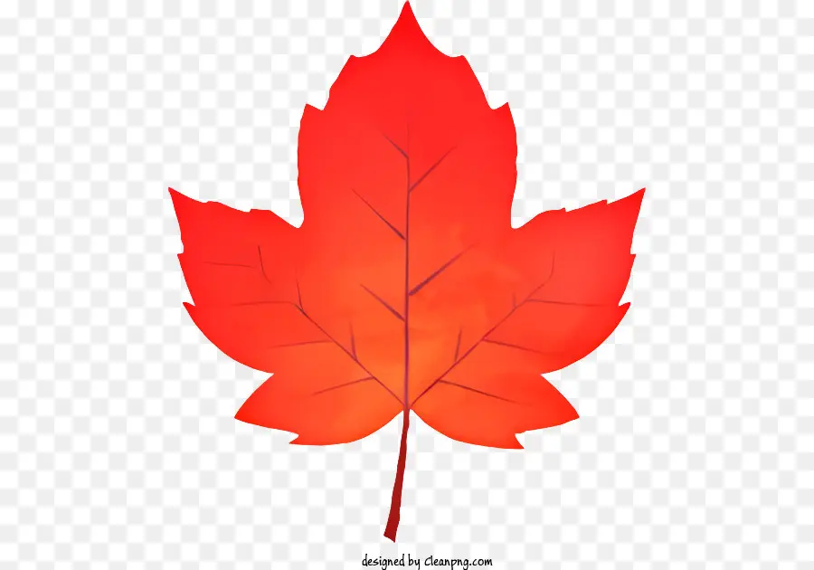 Red Maple Leaf，Folha Grande PNG