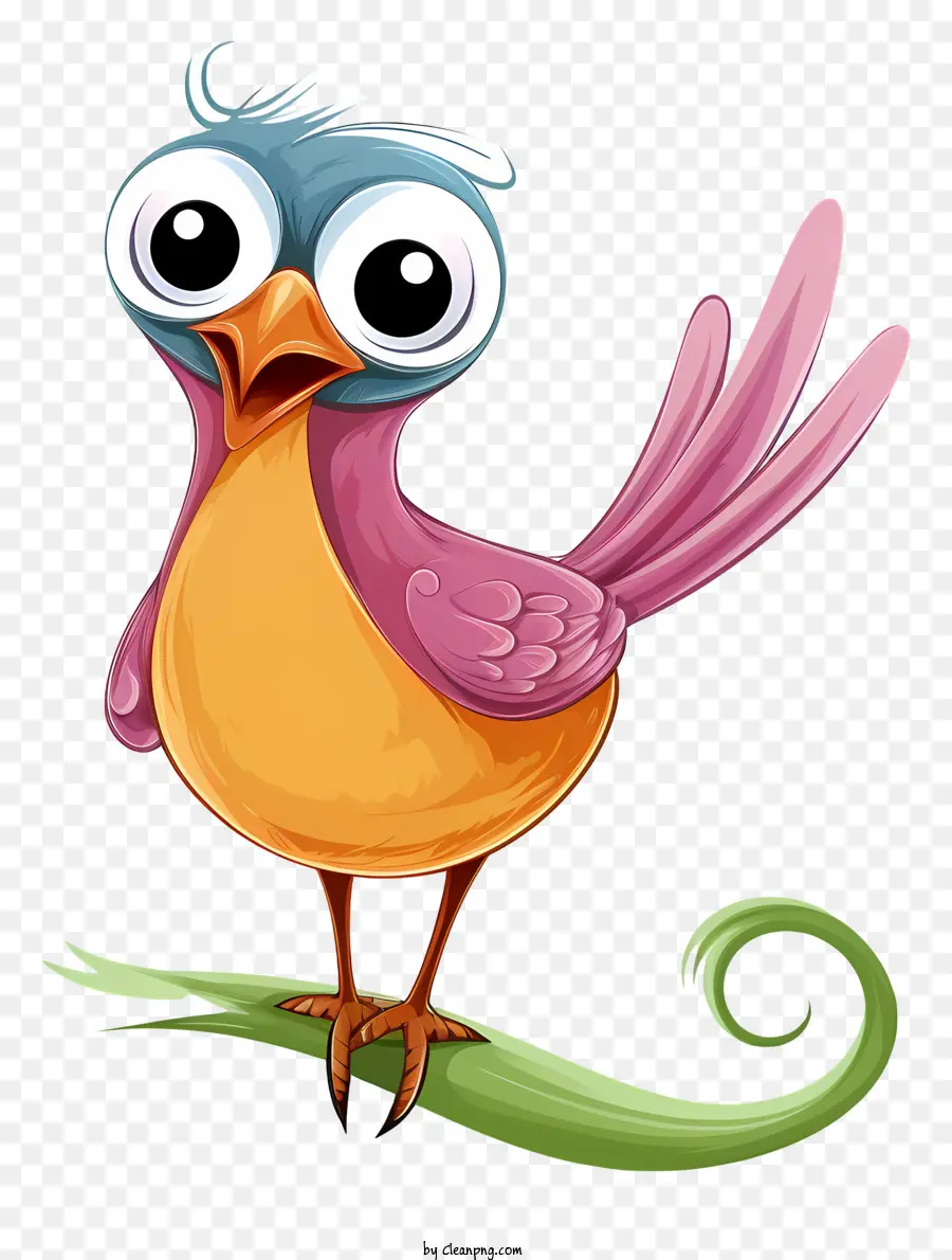 Cartoon Pássaro，Pássaro Com óculos PNG