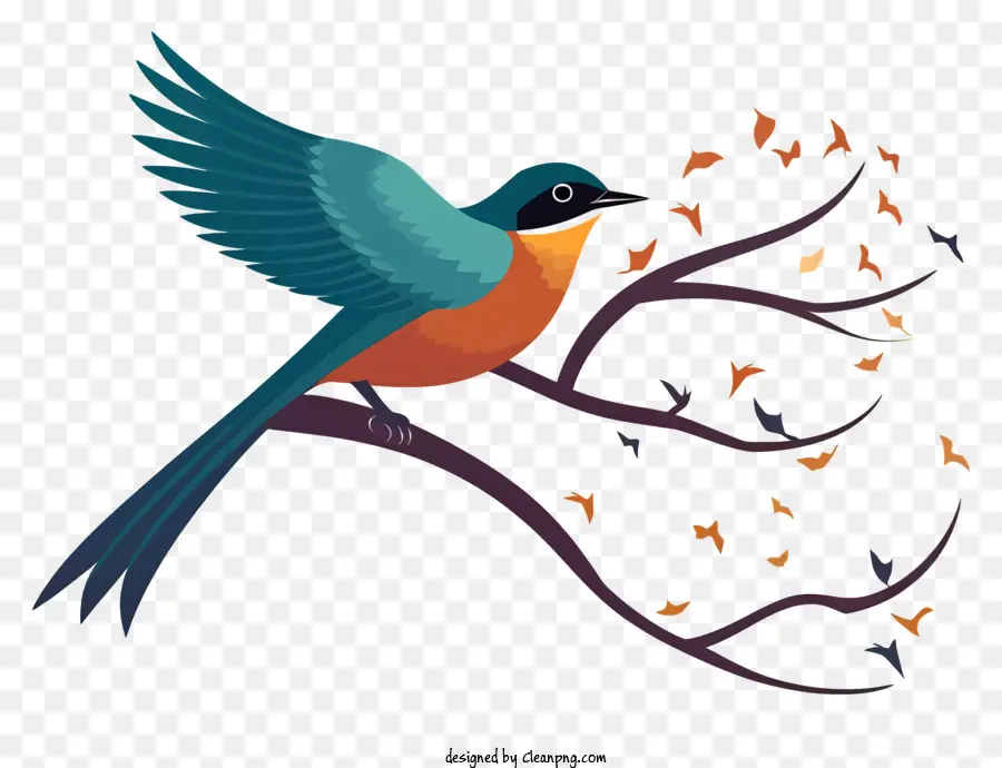 Ilustração Vetorial Plana Minimalizada，Aves PNG