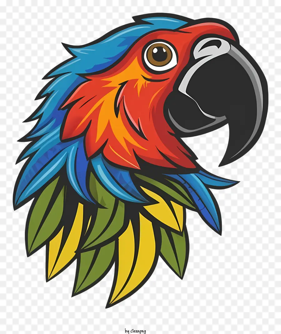 Cartoon，Parrot Colorido PNG