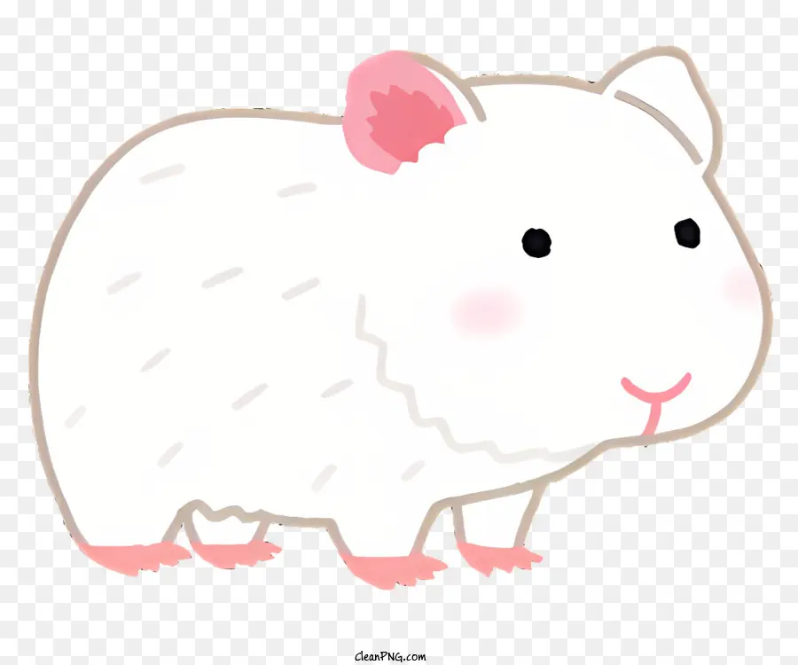 Natureza，Hamster Branco PNG