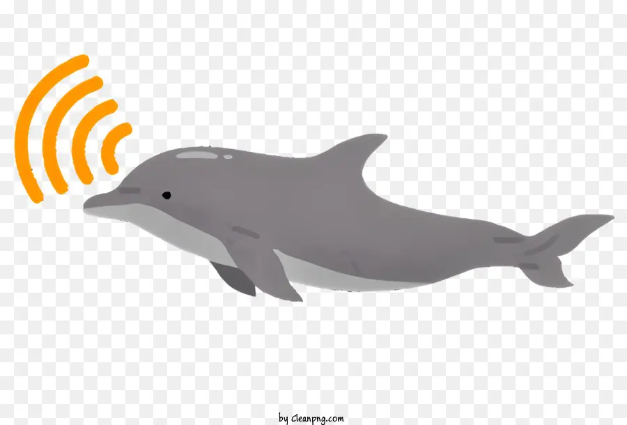 Natureza，Dolphin Cartoon PNG