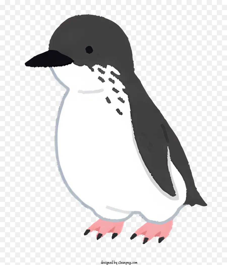 Natureza，Penguin PNG