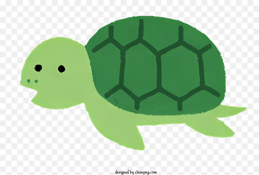 Natureza，Turtle PNG