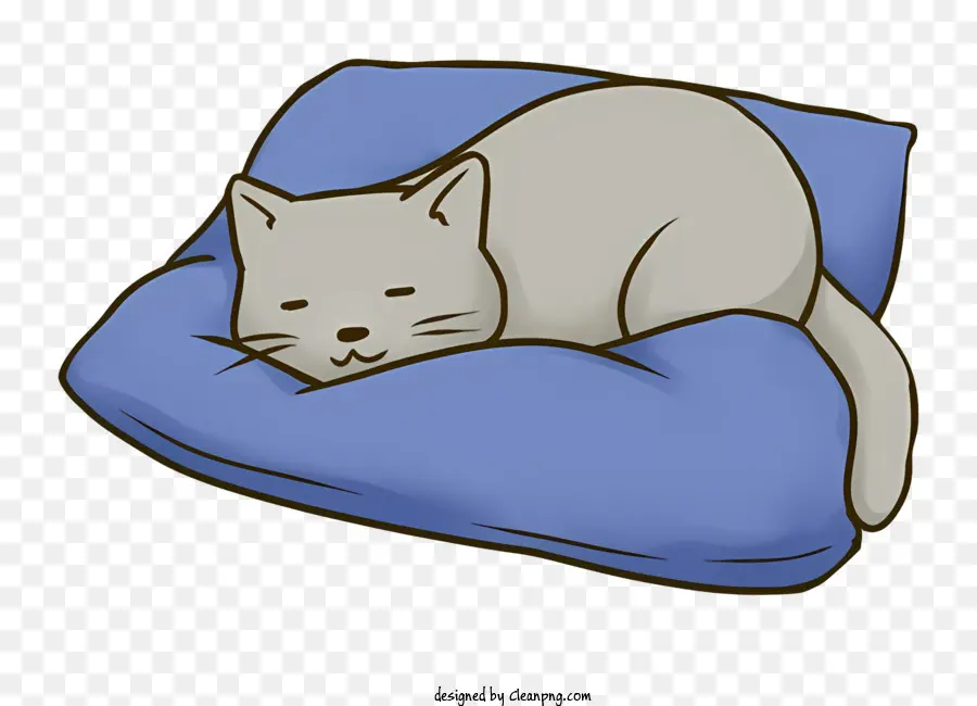 Gato Dormindo，Azul Travesseiro PNG