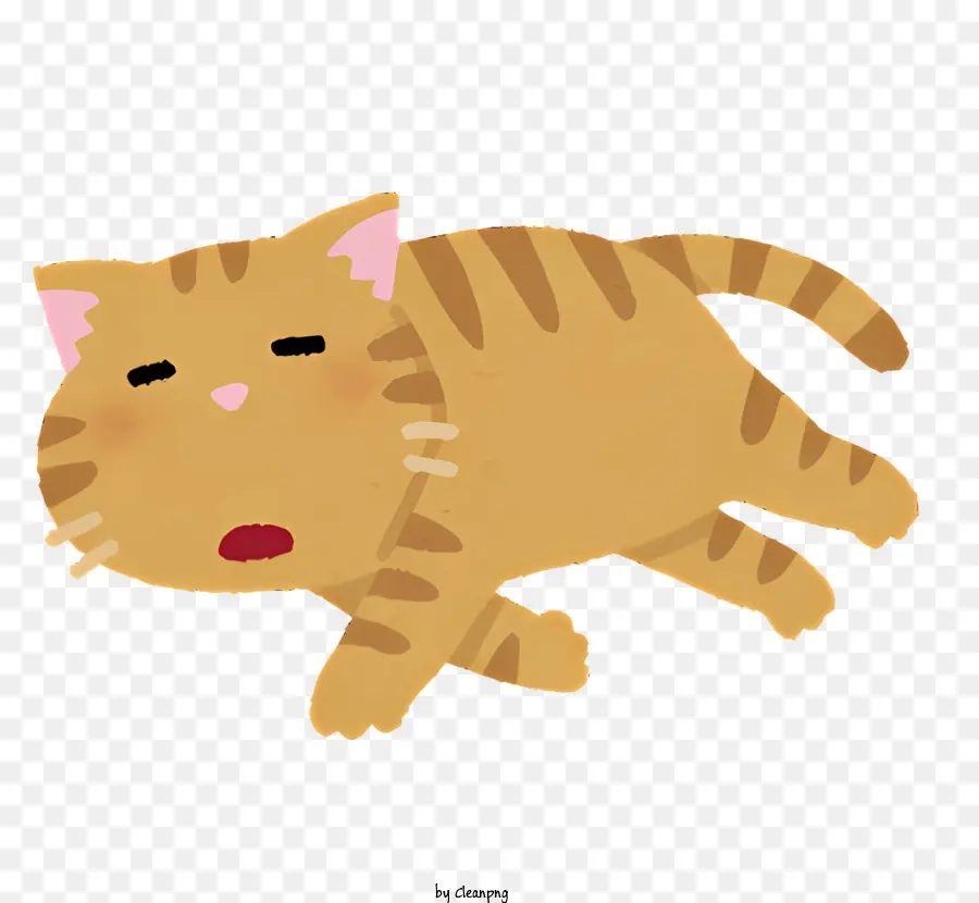 Natureza，Gato PNG