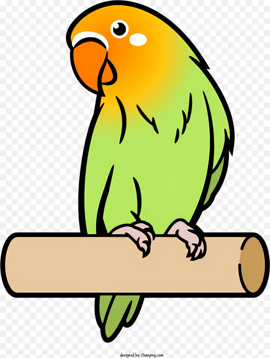 Parrot De Desenho Animado，Poleiro De Madeira PNG
