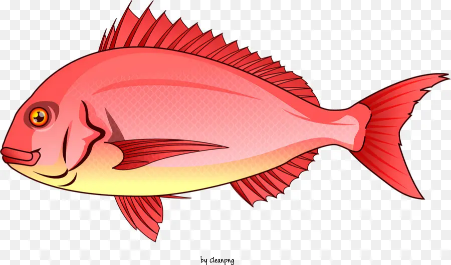 Peixe Vermelho，Peixes Agressivos PNG