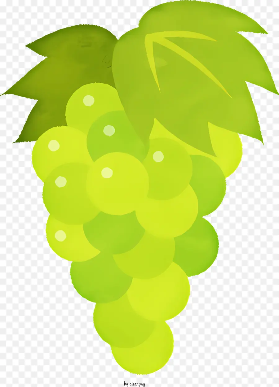 Verde Uvas，Fresh Fruit PNG